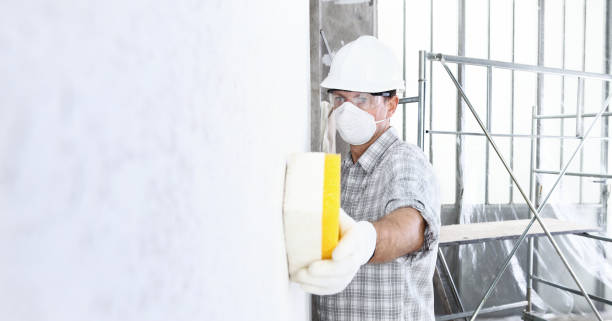 Reliable Chantilly, VA Mold Removal & Remediation Solutions